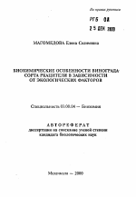 Биохимические особенности винограда - сорта Ркацители в зависимости от экологических факторов - тема автореферата по биологии, скачайте бесплатно автореферат диссертации