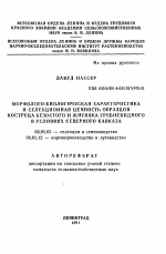 Морфолого-биологическая характеристика и селекционная ценность образцов костреца безостого и житняка гребневидного в условиях Северного Кавказа - тема автореферата по сельскому хозяйству, скачайте бесплатно автореферат диссертации