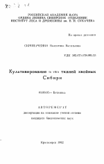 Культивирование in vitro тканей хвойных Сибири - тема автореферата по биологии, скачайте бесплатно автореферат диссертации