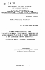 Морфофизиологическая характеристика гетерозиса гибридных комбинаций мягкой яровой пшеницы и их селекционная ценность - тема автореферата по сельскому хозяйству, скачайте бесплатно автореферат диссертации