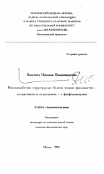 Взаимодействие структурных белков тонких филаментов кальдесмона и кальпонина - с фосфолипидами - тема автореферата по биологии, скачайте бесплатно автореферат диссертации