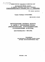 ИНТРОДУКЦИЯ ЛЮПИНА БЕЛОГО В СВЯЗИ С ПРОБЛЕМОЙ БЕЛКА (БИОЛОГИЧЕСКИЕ, АГРОТЕХНИЧЕСКИЕ, СЕЛЕКЦИОННЫЕ АСПЕКТЫ) - тема автореферата по сельскому хозяйству, скачайте бесплатно автореферат диссертации