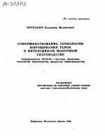 СОВЕРШЕНСТВОВАНИЕ ТЕХНОЛОГИИ ВЫРАЩИВАНИЯ ТЕЛОК В ИНТЕНСИВНОМ МОЛОЧНОМ СКОТОВОДСТВЕ - тема автореферата по сельскому хозяйству, скачайте бесплатно автореферат диссертации