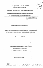 Электронно-микроскопический анализ хромомерной организации политенных хромосом дрозофилы - тема автореферата по биологии, скачайте бесплатно автореферат диссертации