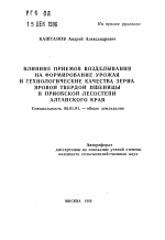 Влияние приемов возделывания на формирование урожая и технологические качества зерна яровой твердой пшеницы в Приобской лесостепи Алтайского края - тема автореферата по сельскому хозяйству, скачайте бесплатно автореферат диссертации