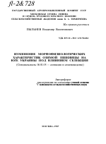 ИЗМЕНЕНИЕ МОРФОФИЗИОЛОГИЧЕСКИХ ХАРАКТЕРИСТИК ОЗИМОЙ ПШЕНИЦЫ НА ЮГЕ УКРАИНЫ ПОД ВЛИЯНИЕМ СЕЛЕКЦИИ - тема автореферата по сельскому хозяйству, скачайте бесплатно автореферат диссертации