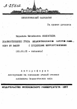 ВЗАИМООТНОШЕНИЯ ГРИБА HELMINTHOSPORIUM SATIVUM РАММ., KING ЕТ ВАККЕ С ПОЧВЕННЫМИ МИКРООРГАНИЗМАМИ - тема автореферата по биологии, скачайте бесплатно автореферат диссертации