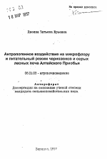 Антропогенное воздействие на микрофлору и питательный режим черноземов и серых лесных почв Алтайского Приобья - тема автореферата по сельскому хозяйству, скачайте бесплатно автореферат диссертации