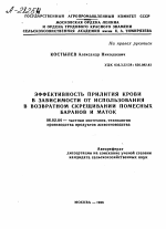 ЭФФЕКТИВНОСТЬ ПРИЛИТИЯ КРОВИ В ЗАВИСИМОСТИ ОТ ИСПОЛЬЗОВАНИЯ В ВОЗВРАТНОМ СКРЕЩИВАНИИ ПОМЕСНЫХ БАРАНОВ И МАТОК - тема автореферата по сельскому хозяйству, скачайте бесплатно автореферат диссертации