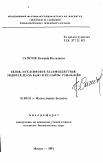 Белок-нуклеиновое взаимодействие эндонуклеаза BspRI и ее сайты узнавания - тема автореферата по биологии, скачайте бесплатно автореферат диссертации