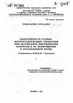 ЭФФЕКТИВНОСТЬ РАЗНЫХ ФОСФОРСОДЕРЖАЩИХ УДОБРЕНИЙ ПРИ БЕССМЕННОМ ВЫРАЩИВАНИИ КУКУРУЗЫ И ИХ ПРЕВРАЩЕНИЕ В КРАСНОЗЕМНОЙ ПОЧВЕ - тема автореферата по сельскому хозяйству, скачайте бесплатно автореферат диссертации