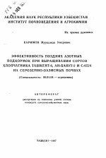 Эффективность поздних азотных подкормок при выращивании сортов хлопчатника ташкент-6, Ан-баяут-2 и с-6524 на сероземно-оазисных почвах - тема автореферата по сельскому хозяйству, скачайте бесплатно автореферат диссертации