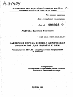 БАКТЕРИОЗ ОГУРЦА И ПОИСК ХИМИЧЕСКИХ ПРЕПАРАТОВ ДЛЯ БОРЬБЫ С НИМ - тема автореферата по сельскому хозяйству, скачайте бесплатно автореферат диссертации