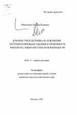 Влияние триходермина на поражение растений корневыми гнилями и урожайность ячменя на Северо-Востоке Нечерноземья РФ - тема автореферата по сельскому хозяйству, скачайте бесплатно автореферат диссертации