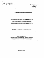 БИОЛОГИЧЕСКИЕ ОСОБЕННОСТИ ОБРАЗЦОВ КОРМОВЫХ БОБОВ И ИХ СЕЛЕКЦИОННАЯ ЦЕННОСТЬ - тема автореферата по сельскому хозяйству, скачайте бесплатно автореферат диссертации