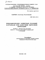 ИНДУЦИРОВАНИЕ ЗАЩИТНЫХ РЕАКЦИЙ КАРТОФЕЛЯ ПРИ ДЕЙСТВИИ ВИРУСНОЙ ИНФЕКЦИИ - тема автореферата по биологии, скачайте бесплатно автореферат диссертации