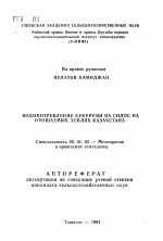 Водопотребление кукурузы на силос на орошаемых землях Казахстана - тема автореферата по сельскому хозяйству, скачайте бесплатно автореферат диссертации