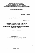 Сравнение кинетики действия и структуры цитозольной и митохондриальной пирофосфатазы печени крысы - тема автореферата по биологии, скачайте бесплатно автореферат диссертации