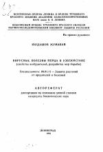 Вирусные болезни перца в Узбекистане (свойства возбудителей, разработка мер борьбы) - тема автореферата по сельскому хозяйству, скачайте бесплатно автореферат диссертации