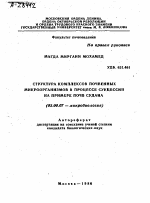 СТРУКТУРА КОМПЛЕКСОВ ПОЧВЕННЫХ МИКРООРГАНИЗМОВ В ПРОЦЕССЕ СУКЦЕССИИ НА ПРИМЕРЕ ПОЧВ СУДАНА - тема автореферата по биологии, скачайте бесплатно автореферат диссертации