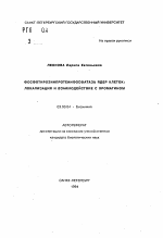 Фосфотирозинпротеинфосфатаза ядер клеток: Локализация и взаимодействие с хроматином - тема автореферата по биологии, скачайте бесплатно автореферат диссертации