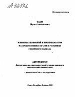 Влияние удобрений и биопрепаратов на продуктивность сои в условиях Северного Кавказа - тема автореферата по сельскому хозяйству, скачайте бесплатно автореферат диссертации