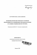 Морфобиологические признаки и элементы продуктивности селекционных образцов картофеля в условиях Средневолжского региона - тема автореферата по сельскому хозяйству, скачайте бесплатно автореферат диссертации