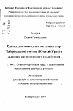 Оценка экологического состояния озерЧебаркульской группы (Южный Урал) в условиях антропогенного воздействия - тема автореферата по географии, скачайте бесплатно автореферат диссертации