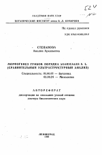 Морфогенез грибов порядка Agaricales S. L. (Сравнит. ультраструктурный анализ) - тема автореферата по биологии, скачайте бесплатно автореферат диссертации