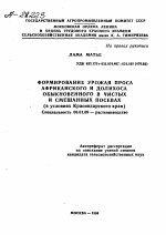 ФОРМИРОВАНИЕ УРОЖАЯ ПРОСА АФРИКАНСКОГО И ДОЛИХОСА ОБЫКНОВЕННОГО В ЧИСТЫХ И СМЕШАННЫХ ПОСЕВАХ (В УСЛОВИЯХ КРАСНОДАРСКОГО КРАЯ) - тема автореферата по сельскому хозяйству, скачайте бесплатно автореферат диссертации