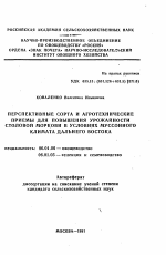 Перспективные сорта и агротехнические приемы для повышения урожайности столовой моркови в условиях муссонного климата Дальнего Востока - тема автореферата по сельскому хозяйству, скачайте бесплатно автореферат диссертации