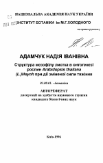 Структура мезофилла листа в онтогенезе растений Arabidopsis thaliana (L.) Heynh в условиях измененной силы тяжести - тема автореферата по биологии, скачайте бесплатно автореферат диссертации