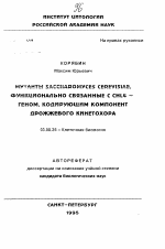 Мутанты SACCРAROMYCES CEREVSSIAE. Функционально связанные с CHL4-геном, кодирующим компонент дрожжевого кинетохора - тема автореферата по биологии, скачайте бесплатно автореферат диссертации