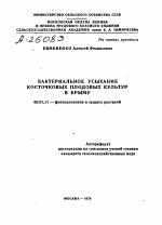 БАКТЕРИАЛЬНОЕ УСЫХАНИЕ КОСТОЧКОВЫХ ПЛОДОВЫХ КУЛЬТУР В КРЫМУ - тема автореферата по сельскому хозяйству, скачайте бесплатно автореферат диссертации