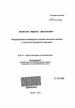 Формирование поливидовых посевов силосных культур в лесостепи Самарского Заволжья - тема автореферата по сельскому хозяйству, скачайте бесплатно автореферат диссертации