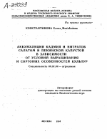 АККУМУЛЯЦИЯ КАДМИЯ И НИТРАТОВ САЛАТОМ И ПЕКИНСКОЙ КАПУСТОЙ В ЗАВИСИМОСТИ ОТ УСЛОВИЙ ВЫРАЩИВАНИЯ И СОРТОВЫХ ОСОБЕННОСТЕЙ КУЛЬТУР - тема автореферата по сельскому хозяйству, скачайте бесплатно автореферат диссертации