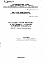 СЕЛЕКЦИЯ ЯРОВОЙ ПШЕНИЦЫ В ЗАСУШЛИВЫХ УСЛОВИЯХ ЗАПАДНОГО КАЗАХСТАНА - тема автореферата по сельскому хозяйству, скачайте бесплатно автореферат диссертации