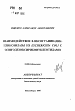 Взаимодействие 8-оксогуанин-ДНК-гликозилазы из ESCHERICHIA COLI с олигодезоксирибонуклеотидами - тема автореферата по биологии, скачайте бесплатно автореферат диссертации