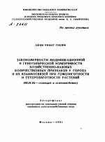 ЗАКОНОМЕРНОСТИ МОДИФИКАЦИОННОЙ И ГЕНОТИПИЧЕСКОЙ ИЗМЕНЧИВОСТИ ХОЗЯЙСТВЕННО-ВАЖНЫХ КОЛИЧЕСТВЕННЫХ ПРИЗНАКОВ У ГОРОХА И ИХ ВЗАИМОСВЯЗЕЙ ПРИ ГОМОЗИГОТНОСТИ И ГЕТЕРОЗИГОТНОСТИ РАСТЕНИЙ - тема автореферата по сельскому хозяйству, скачайте бесплатно автореферат диссертации