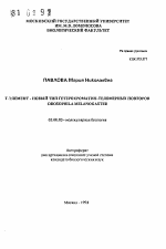 Т-элемент - новый тип гетерохроматин-теломерных повторов DROSOPHILA MELANOGASTER - тема автореферата по биологии, скачайте бесплатно автореферат диссертации