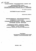 ЭФФЕКТИВНОСТЬ ВНУТРИЛИНЕЙНОГО ПОДБОРА И КРОССОВ СПЕЦИАЛИЗИРОВАННЫХ ЛИНИЙ СВИНЕЙ КРУПНОЙ БЕЛОЙ ПОРОДЫ - тема автореферата по сельскому хозяйству, скачайте бесплатно автореферат диссертации