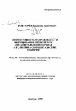 Эффективность направленного выращивания первотелок симментальской породы и голштин х симментальских помесей - тема автореферата по сельскому хозяйству, скачайте бесплатно автореферат диссертации