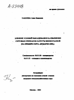 ВЛИЯНИЕ УСЛОВИЙ ВЫРАЩИВАНИЯ НА ИЗМЕНЕНИЕ СОРТОВЫХ ПРИЗНАКОВ КАПУСТЫ БЕЛОКОЧАННОЙ (НА ПРИМЕРЕ СОРТА «ПОДАРОК 2300»). - тема автореферата по сельскому хозяйству, скачайте бесплатно автореферат диссертации