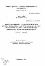 Морфодинамика субмикроскопических структур изолированных протопластов клеток основной паренхимы при воздействии физических и химических факторов - тема автореферата по биологии, скачайте бесплатно автореферат диссертации