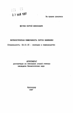 Морфологическая изменчивость сортов земляники - тема автореферата по сельскому хозяйству, скачайте бесплатно автореферат диссертации