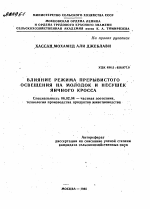 ВЛИЯНИЕ РЕЖИМА ПРЕРЫВИСТОГО ОСВЕЩЕНИЯ НА МОЛОДОК И НЕСУШЕК ЯИЧНОГО КРОССА - тема автореферата по сельскому хозяйству, скачайте бесплатно автореферат диссертации