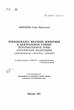 Трихоцефалез жвачных животных в Центральном районе Нечерноземной зоны Российской Федерации (эпизоотология, патогенез, лечение) - тема автореферата по биологии, скачайте бесплатно автореферат диссертации