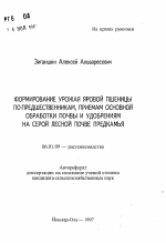 Формирование урожая яровой пшеницы по предшественникам, приемам основной обработки почвы и удобрениям на серой лесной почве Предкамья - тема автореферата по сельскому хозяйству, скачайте бесплатно автореферат диссертации