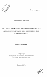 Биосинтез фосфолипидов в клетках миксомицета PHYSARUM POLYCEPHALUM и его изменения в ходе клеточного цикла - тема автореферата по биологии, скачайте бесплатно автореферат диссертации