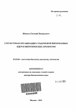 Структурная организация субдоменов интерфазных ядер и митотических хромосом - тема автореферата по биологии, скачайте бесплатно автореферат диссертации